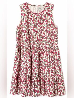 J Crew Watermelon Print Sleeveless Tiered Dress- 8